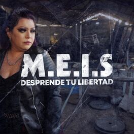 Album cover of Desprende Tu Libertad