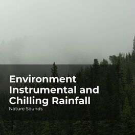 Album cover of Environment Instrumental and Chilling Rainfall