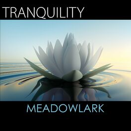 Album cover of Tranquility