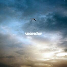 Album cover of wonder