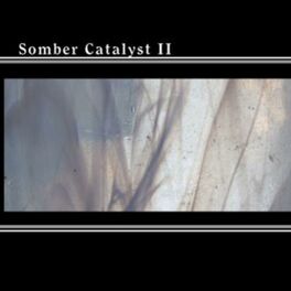 Album cover of Somber Catalyst II