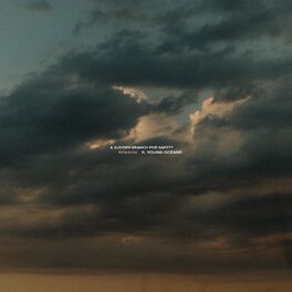 Album cover of Reason (feat. Young Oceans)