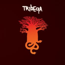 Album cover of Tribeqa