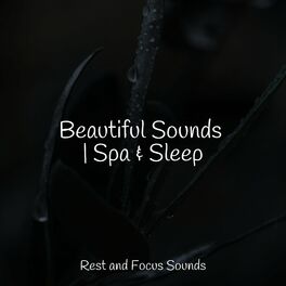 Album cover of Beautiful Sounds | Spa & Sleep