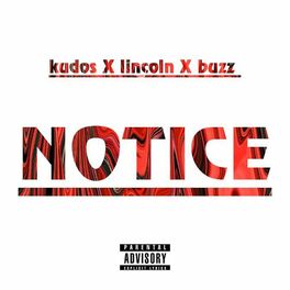 Album cover of Notice (feat. Buzz & Linlcon)