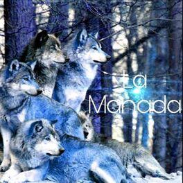 Album cover of La Manada