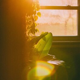 Album cover of Beacon
