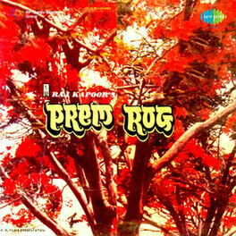 Album cover of Prem Rog (Original Motion Picture Soundtrack)