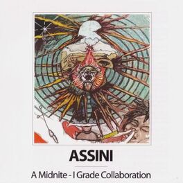 Album cover of Assini