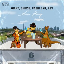 Album cover of Hani Honey
