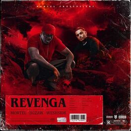Album cover of Revenga