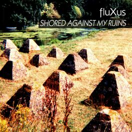 Album cover of Shored Against My Ruins