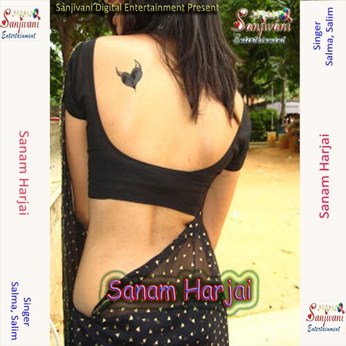 Sanam Harjai Xxx Video - Salim - Tera Shukriya Main Kaise Karu: listen with lyrics | Deezer