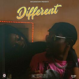Album cover of Different (feat. Poptain & Nutty O)