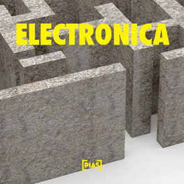Album cover of Electronica
