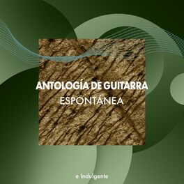 Album cover of zZz Antología de Guitarra Espontánea e Indulgente zZz