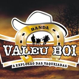 Album cover of A Explosão das Vaquejadas