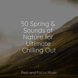 Album cover of 50 Spring & Sounds of Nature for Ultimate Chilling Out