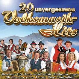 Album cover of 20 unvergessliche Volksmusik-Hits