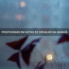 Album cover of Positividade Em Gotas De Orvalho Da Manhã