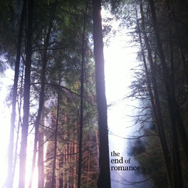 Album cover of The End of Romance