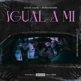 Album cover of IGUAL A MI