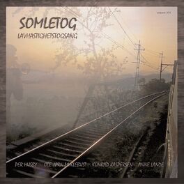 Album cover of Somletog