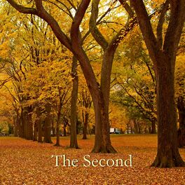 Album cover of The Second