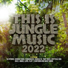 Album cover of This Is Jungle Music 2022