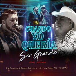 Album cover of Cuando Yo Quería Ser Grande (En Vivo)