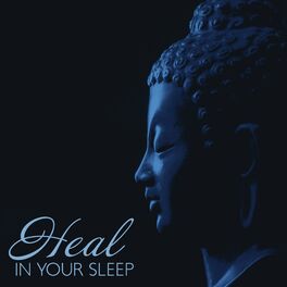 Album cover of Heal in Your Sleep: Buddhist Meditation Music for Insomnia and Sleep Problems, Nighttime Zen Relaxation