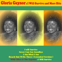 Album cover of I Will Survive and More Hits