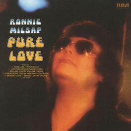Album cover of Pure Love