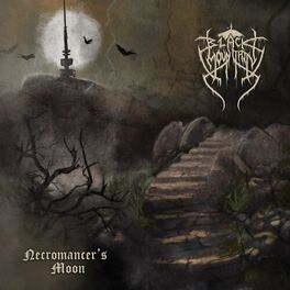 Album cover of Necromancer's Moon