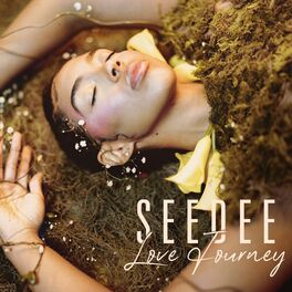 Album cover of Love Journey