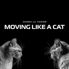 Album cover of Moving Like a Cat