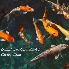 Album cover of Chillin' With Some Koi Fish