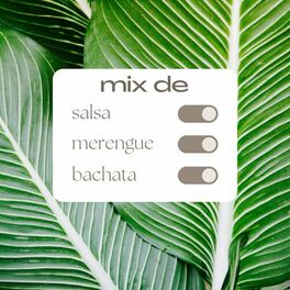 Album cover of Mix de Salsa, Merengue y Bachata