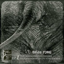 Album cover of Vier Geschichten von Geistern, Mädchen, Elefanten und Schildkröten