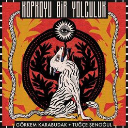 Album cover of Kopkoyu Bir Yolculuk