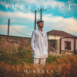 Album cover of Imperfect