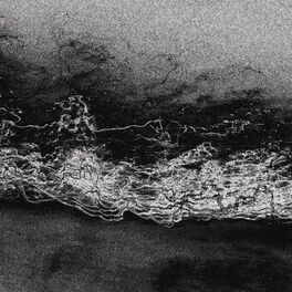 Album cover of in the absence of stars