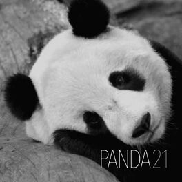 Album cover of Panda21