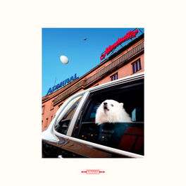 Album cover of White Roses