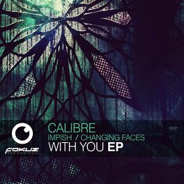 Album cover of With You EP (Calibre Remix)