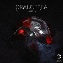 Album cover of Praeterea 02
