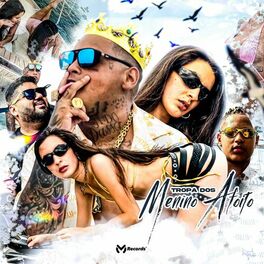 Album cover of Tropa dos Menino Afoito