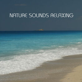 Album cover of Nature Sounds Relaxing: the Most Relaxing Music Imaginable. Relaxing Sounds of Nature, Sound of Rain, Calm Music and all Nature So