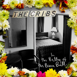 Album cover of In the Belly of the Brazen Bull