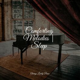 Album cover of Comforting Melodies | Sleep